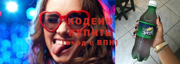 прущие грибы Новозыбков