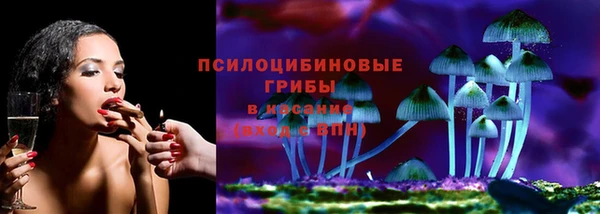 ГАЛЛЮЦИНОГЕННЫЕ ГРИБЫ Новодвинск