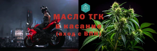 прущие грибы Новозыбков