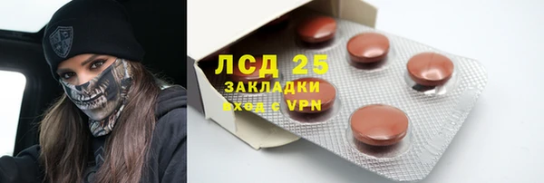 прущие грибы Новозыбков
