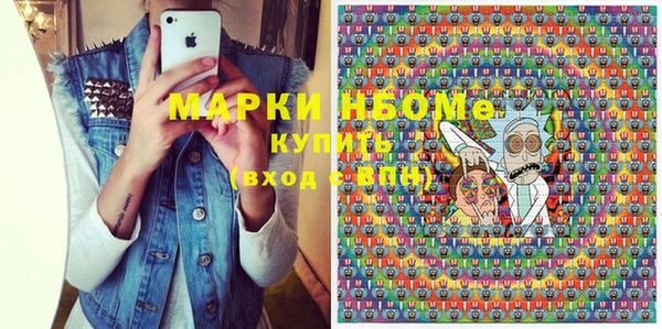 прущие грибы Новозыбков