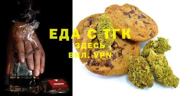 прущие грибы Новозыбков