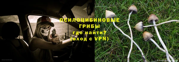 ГАЛЛЮЦИНОГЕННЫЕ ГРИБЫ Новодвинск
