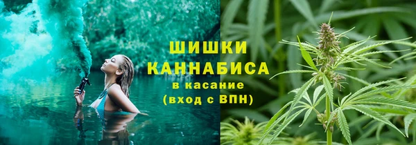 ГАЛЛЮЦИНОГЕННЫЕ ГРИБЫ Новодвинск
