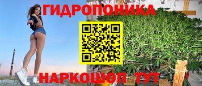 Альфа ПВП Ликино-Дулёво