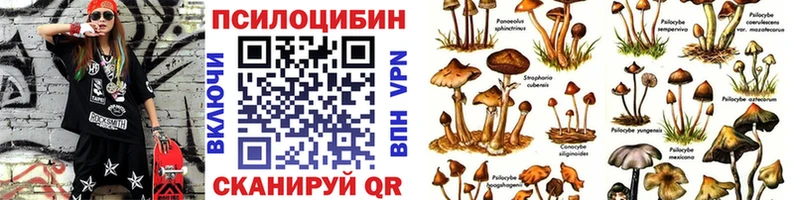 наркота omg ONION Галлюциногенные грибы Psilocybine cubensis Шуя