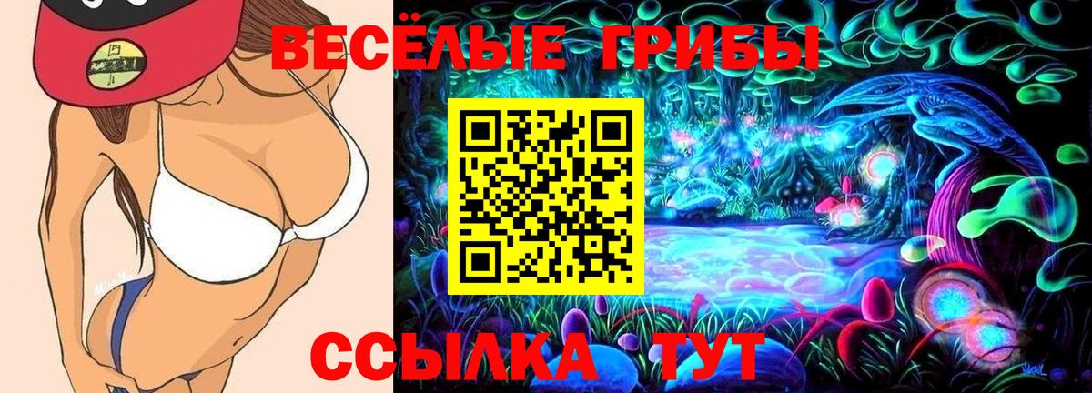 Шуя  Галлюциногенные грибы Cubensis  Вход с VPN 