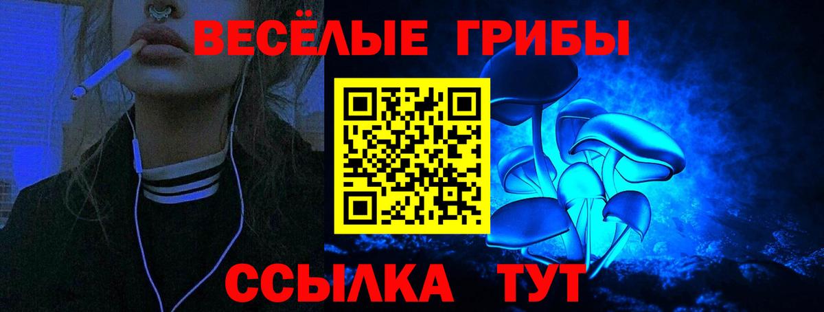 купить закладку  Шуя  Галлюциногенные грибы Psilocybe 